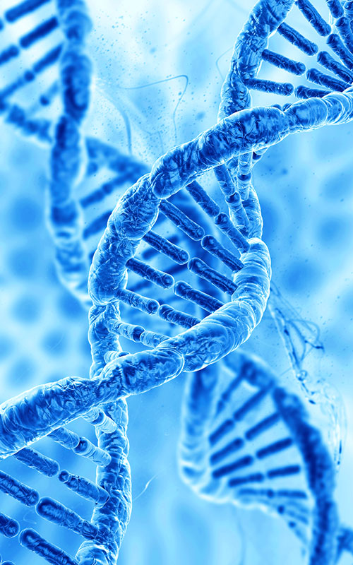 Η Anhua Bio λανσάρει το προϊόν PDRN: Ανακατασκευή της παγκόσμιας εφοδιαστικής αλυσίδας πρώτων υλών αναγέννησης ιστών με συνθετική βιολογία